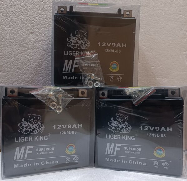 Liger king N9 battery